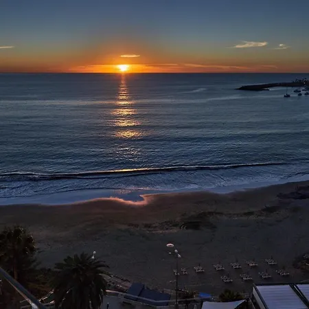 Donana 1109 Patalavaca