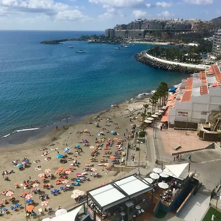 Donana 1109 * Patalavaca