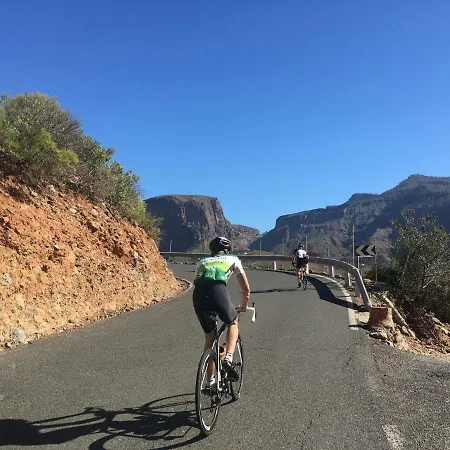 Donana 1109 Apartman Patalavaca