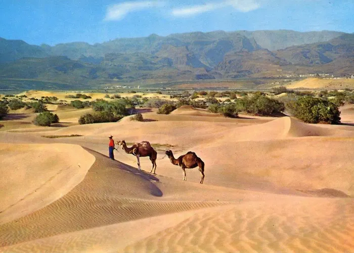 Donana 1109 باتالاباكا